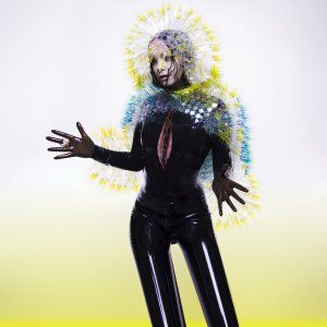 Bjork, Vulnicura